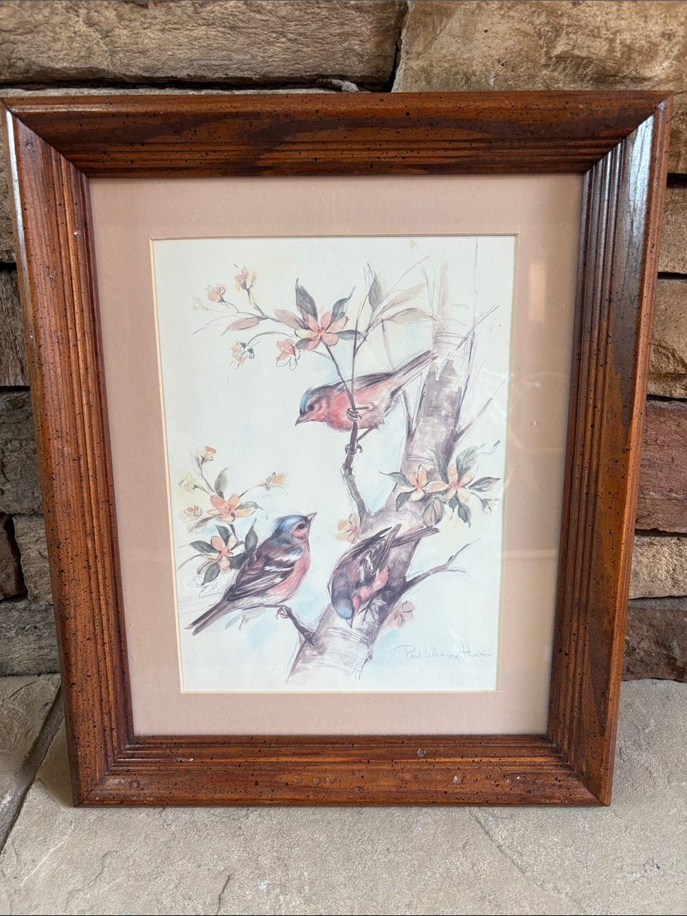 Paul Whitney Hunter framed and matted bird print